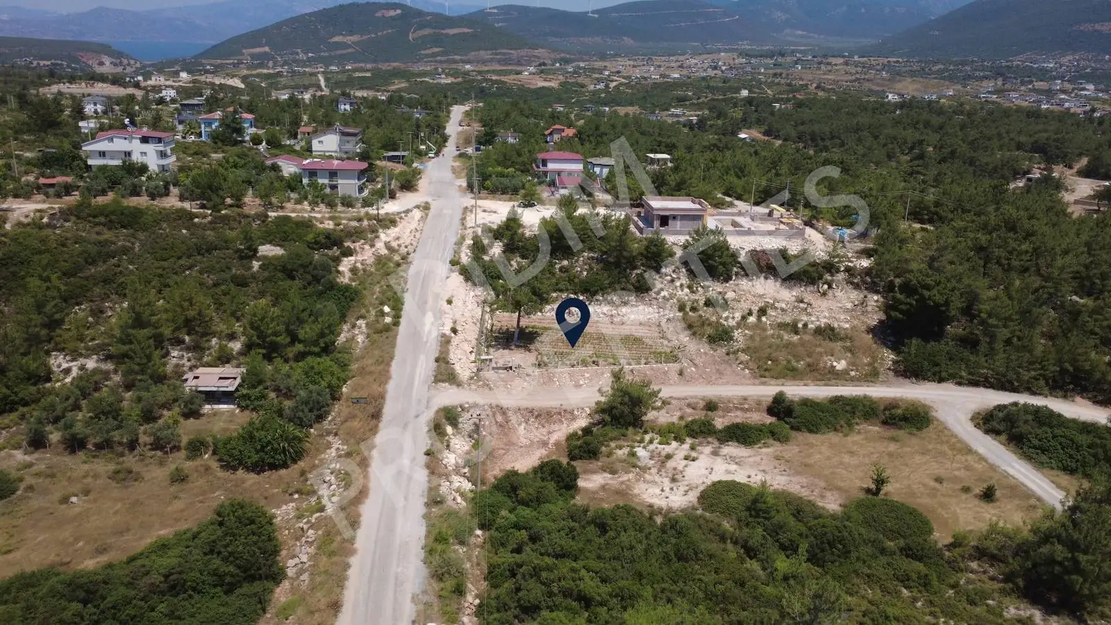 Seyrantepe building plot — aerial view of the plot in pine forest
